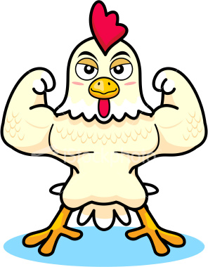 Funny Animal: Funny chicken cartoon