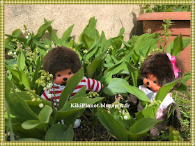kiki, monchhichi, muguet, 1er mai, porte-bonheur
