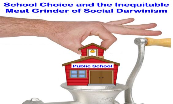 Image result for big education ape school choice