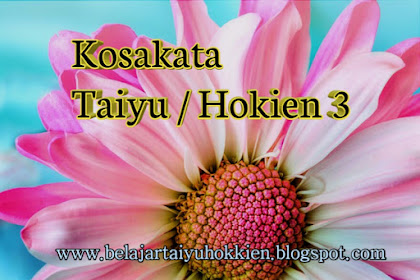 Kosakata  Bahasa Taiyu / Hokkien Part 3