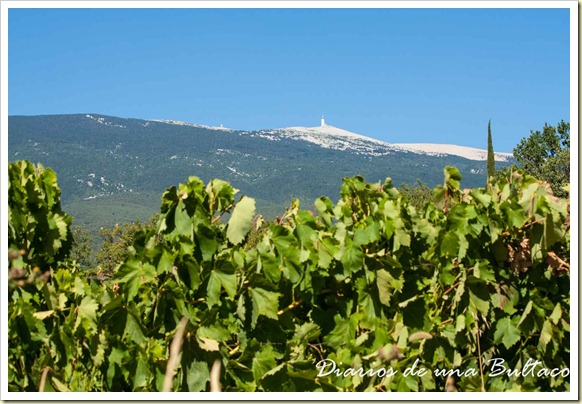Mont Ventoux-57