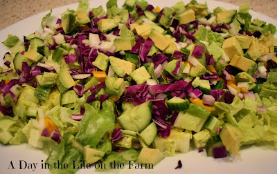 Avocado and Shrimp Chopped Salad