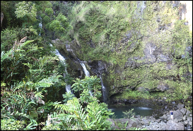 Upper Waikani Falls Rd to Hana 5-22-2013  (13)