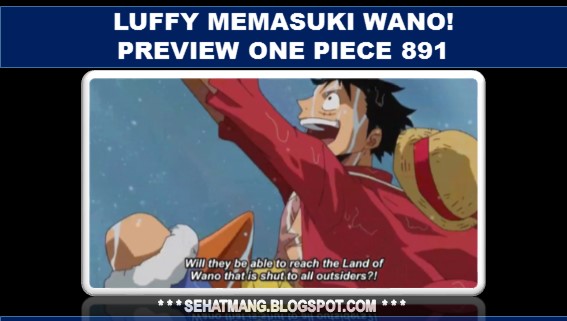 Luffy memasuki Wano! Preview One Piece 891