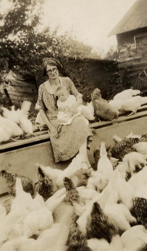 The Chicken Lady