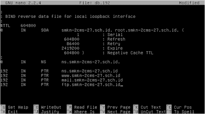 Konfigurasi DNS Pada Linux Debian CLI