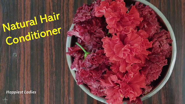 Red Hibiscus - Natural Hair conditioner