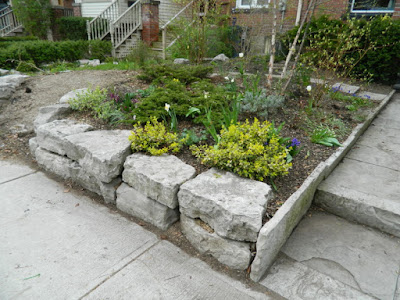 Greektown Toronto Spring Cleanup Front Garden After by Paul Jung Gardening Services--a Toronto Gardening Company
