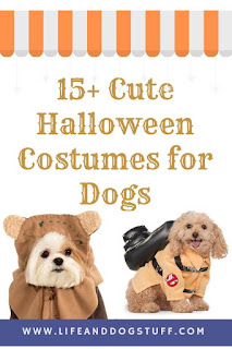 15+ Cute Halloween Costumes for Dogs.