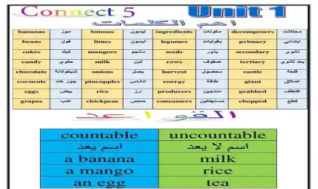 ابسط شرح لكلمات وجرامر الوحدة الاولى لغة انجليزية للصف الخامس الابتدائى كونكت 5 الترم الاول 2023