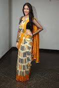 Lavanya Tripathi glam pics in saree-thumbnail-8