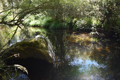 Mosteiro de Santa Maria das Júnias no Gerês