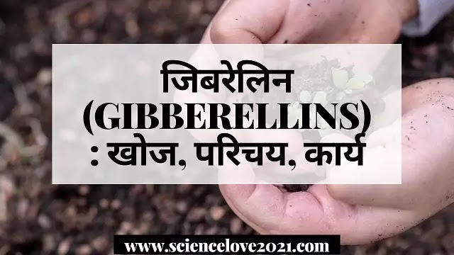 जिबरेलिन (GIBBERELLINS) : खोज, परिचय, कार्य|hindi