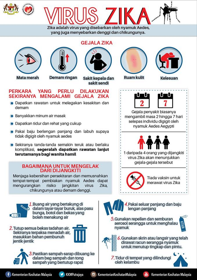 Apa Itu Virus Zika : Punca, Simptom Dan Rawatan - MySemakan