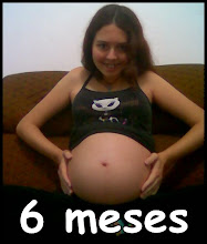 6 meses