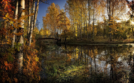 Best of Relaxing Oasis HD Wallpaper Free Download