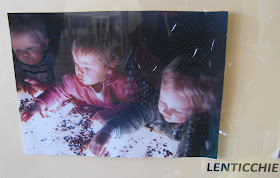 photo of: Reggio Emilia children explore sensory materials on light table