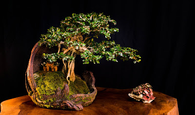 nghệ thuật bonsai