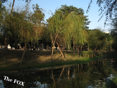 巴克禮公園