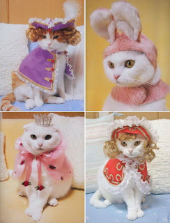 Cats wearing rabbit ears and crowns in costume