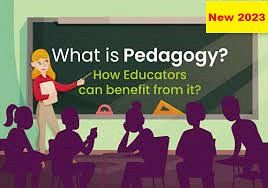 What Is Pedagogy? How To Use Pedagogy In School?