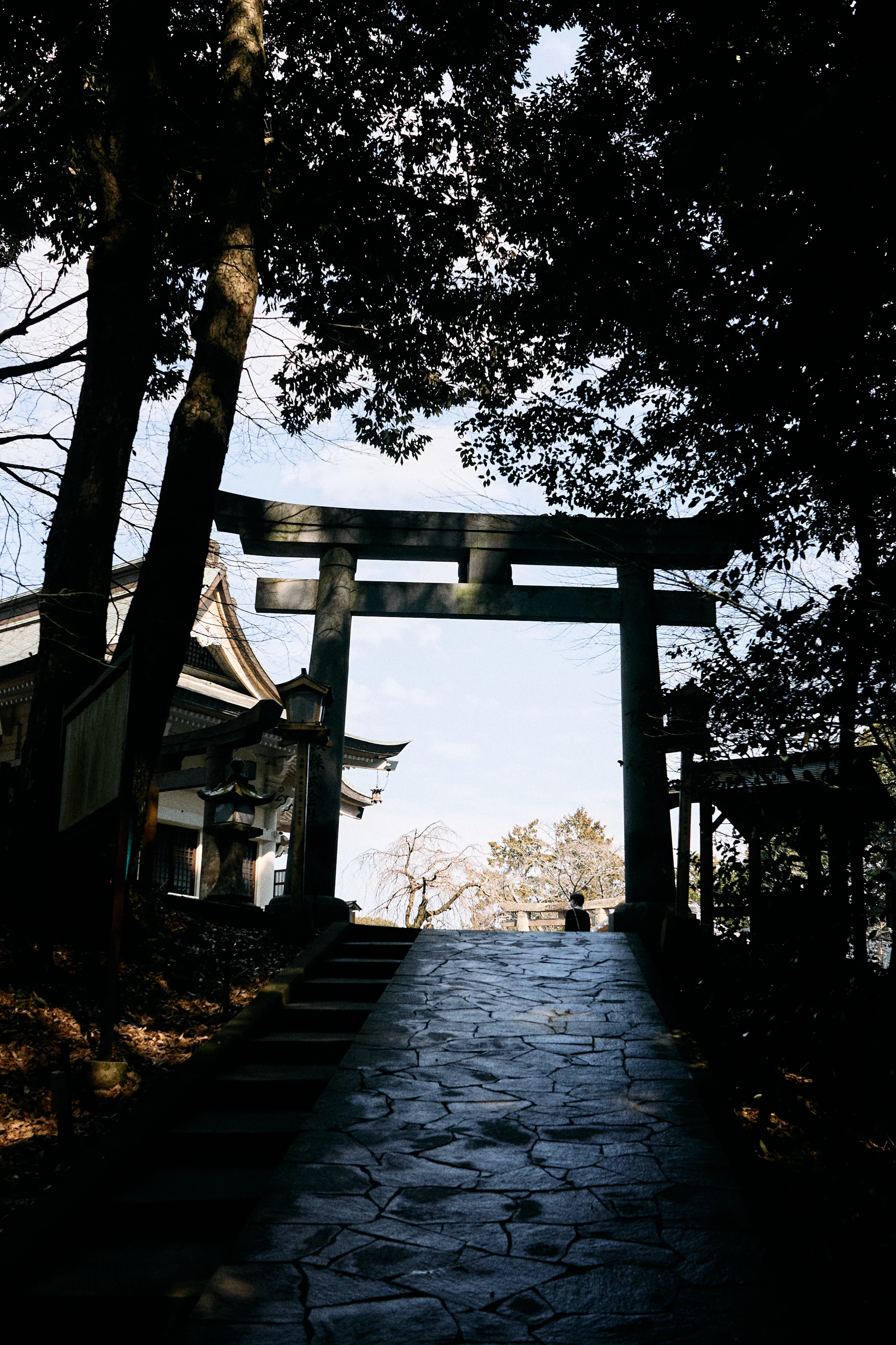 일본소도시-사가여행-사가시-saga-佐賀市-다케오온센-takeo-onsen-station-드럭스토어-코스모스-유메타운