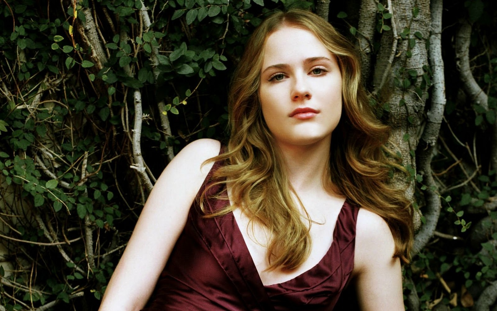 Evan Rachel Wood Wallpapers