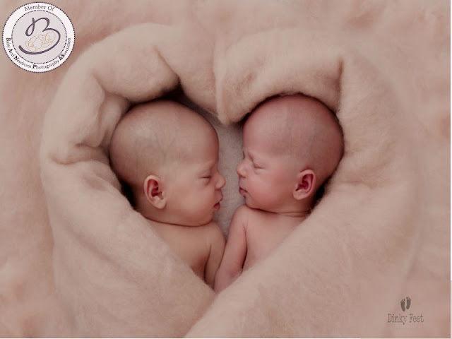 Twin Baby Photography by Dinky Feet - BANPAS Registered