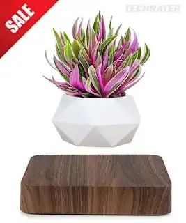 Anti-Gravity Flower Pot Floating in the Air  Magnetic Levitation Technology