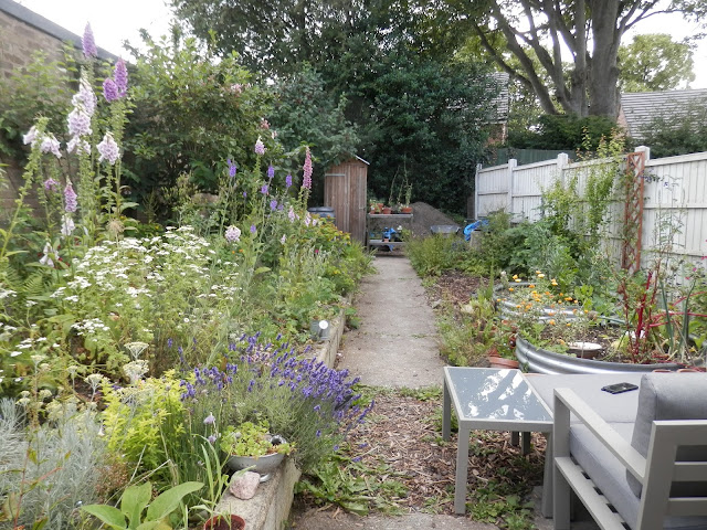 Diary of a UK permaculture (ish) garden by UK garden blogger secondhandsusie.blogspot.com #gardenblogger #ukpermaculture #suburbanpermaculture #raisedbedgarden #frontgardenallotment