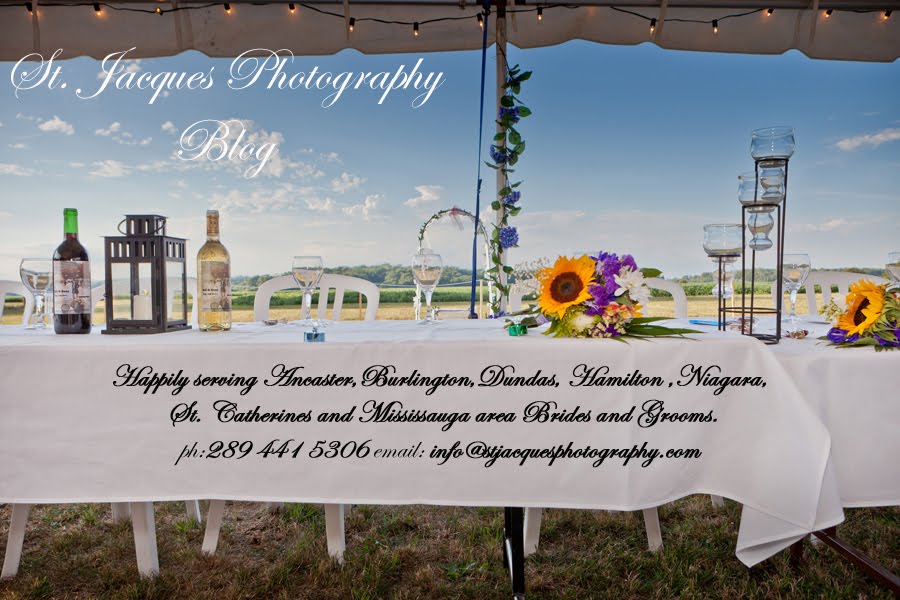 Wedding photography in South Western Ontario and the Greater Toronto area