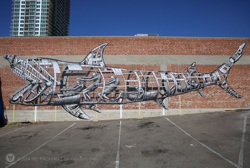 pangeaseed-seawall-2014-1