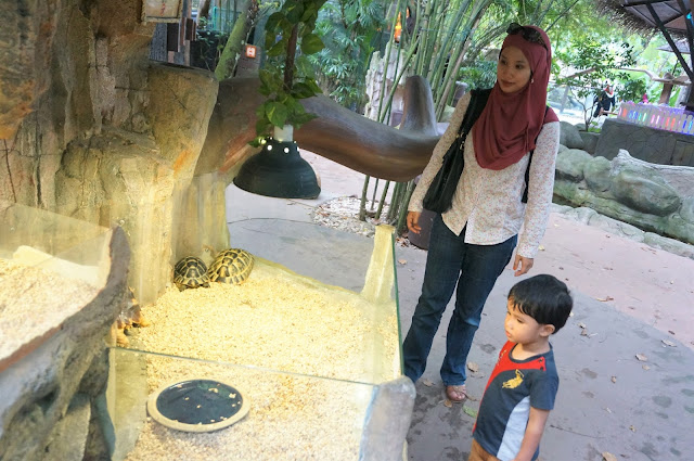 Trip To Lost World Of Tambun Part 3: Dry Land