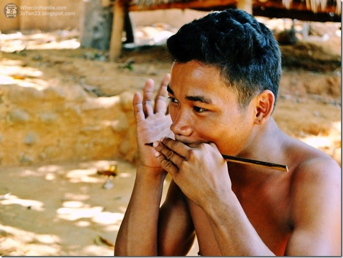 Tribal-Village-butterfly-garden-puerto-princesa-palawan