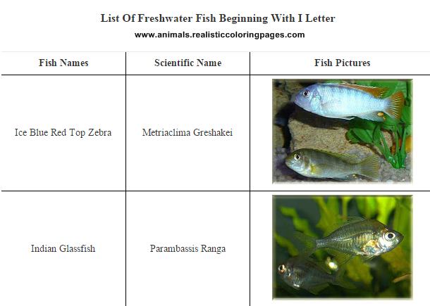 List of freshwater fish beginning with I