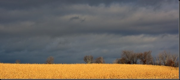 DSC_8104