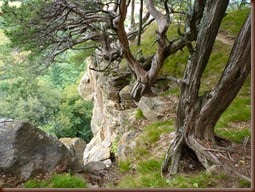 Gibraltar Rock Park WI