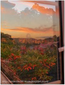 sunset reflection in a window