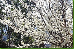 clip_image035