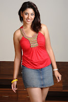 Richa, Gangopadhyay, New, Photoshoots