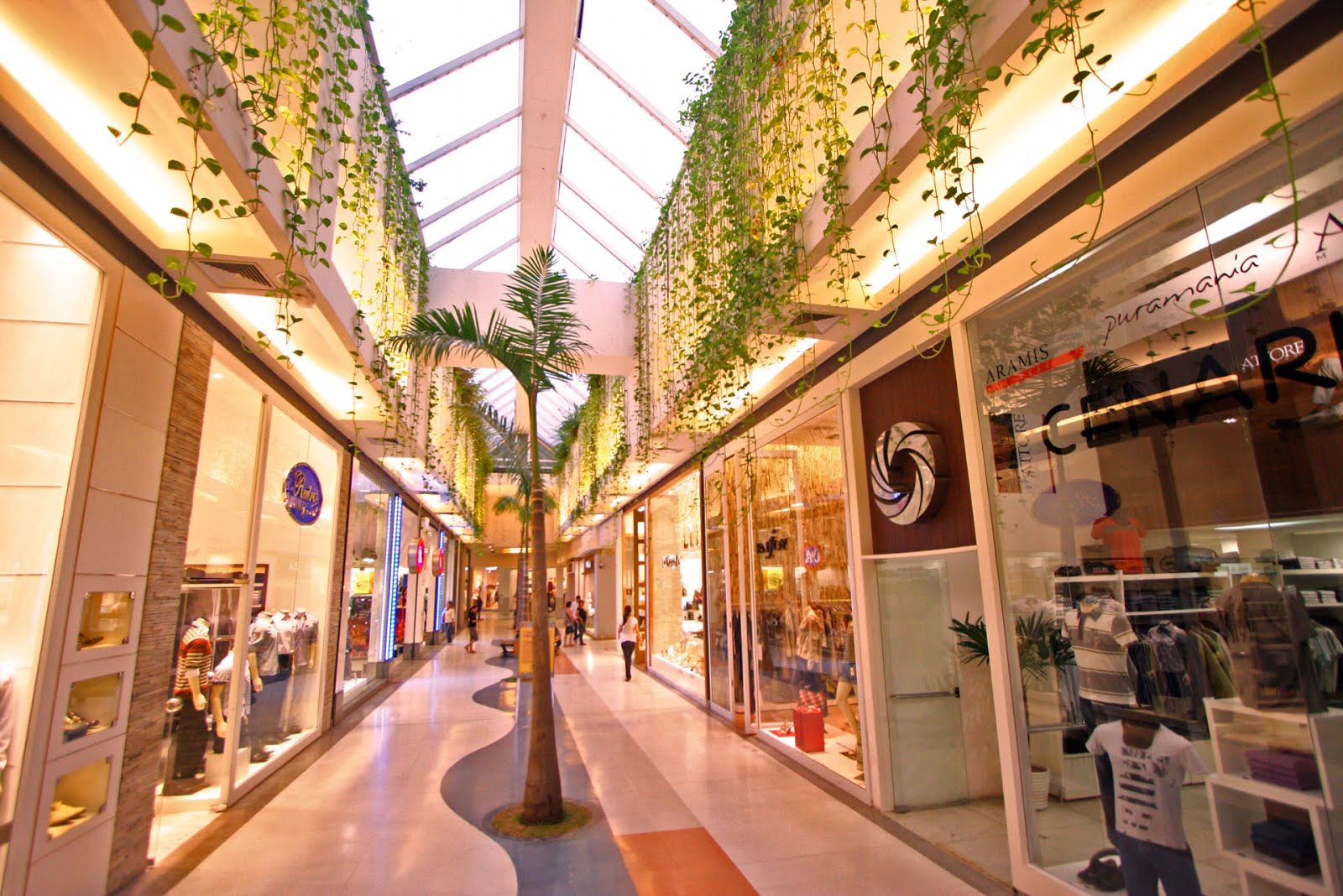 Shopping
