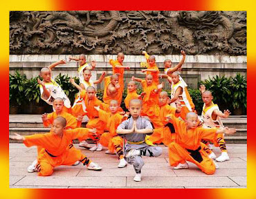 What Is Kung Fu: The Art, The Culture, The Life