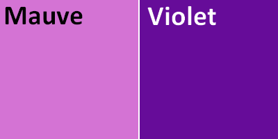 Quelle est la diff rence entre le violet et le mauve 