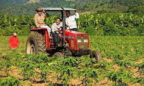 Comisión de Agricultura rechaza reformas a Ley de Desarrollo Rural Sustentable   