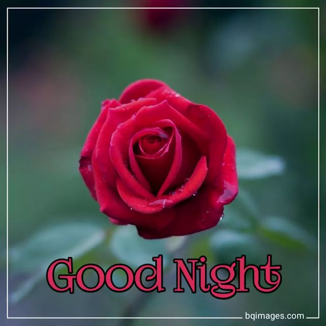 good night images