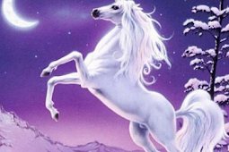 Mitologi Kuda Putih Dari Berbagai Bangsa