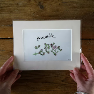 Bramble illustration by Alice Draws The Line