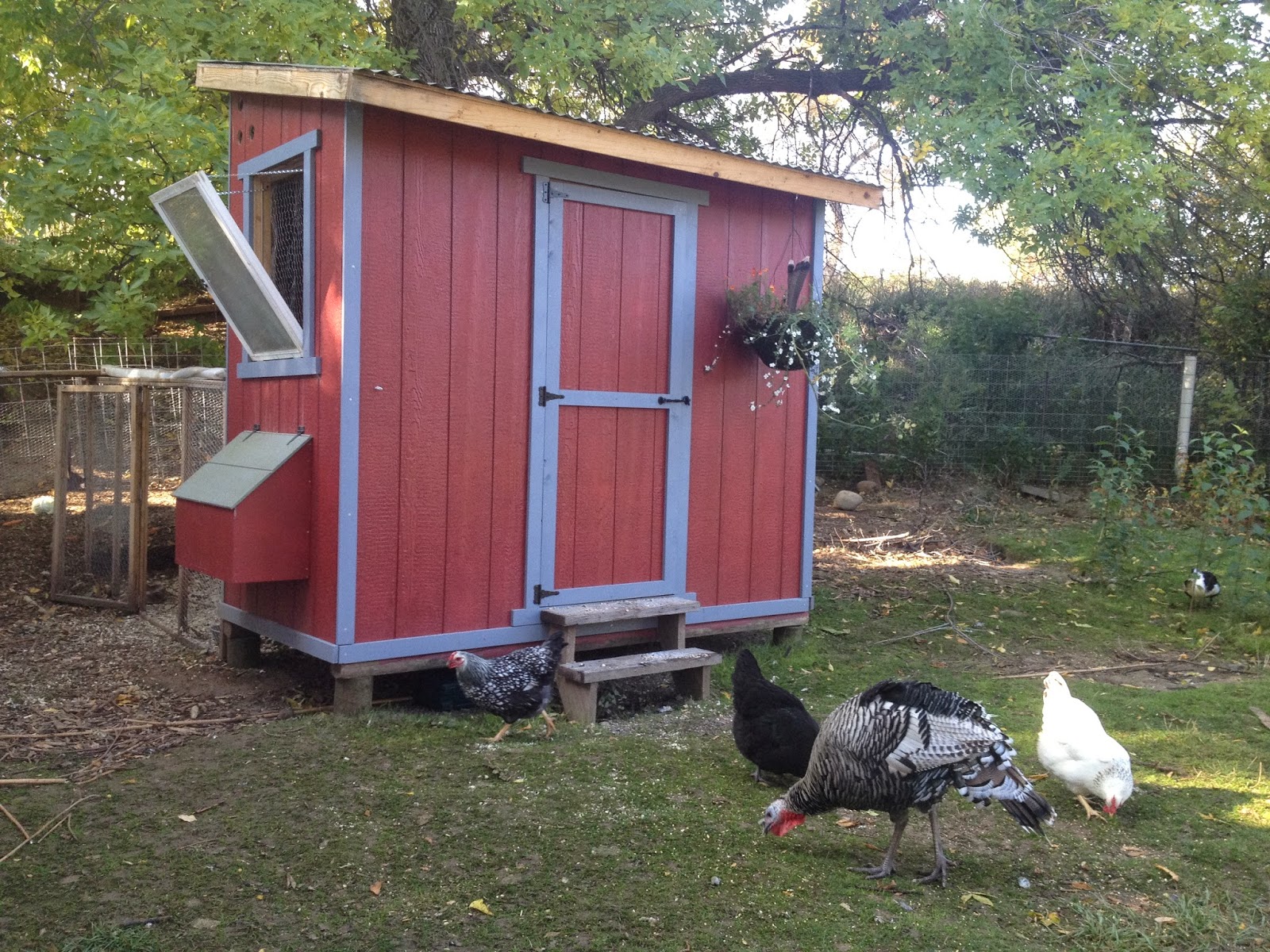 funky chicken coop tour 2018