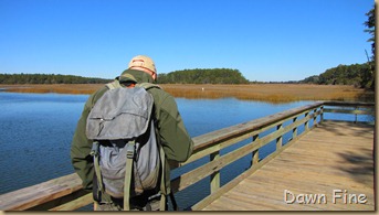 harris neck nwr_071