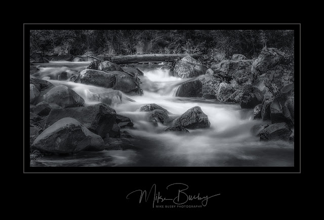 A spring creek photographed in black and white.